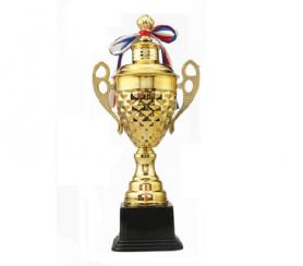 公司團(tuán)建禮品_金屬獎(jiǎng)杯定制